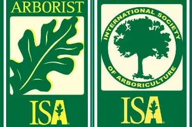What Is an ISA Certified Arborist—and Why It Matters for Your Trees