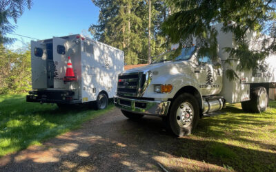 Why Professional Tree Care Matters in Snohomish & King Counties
