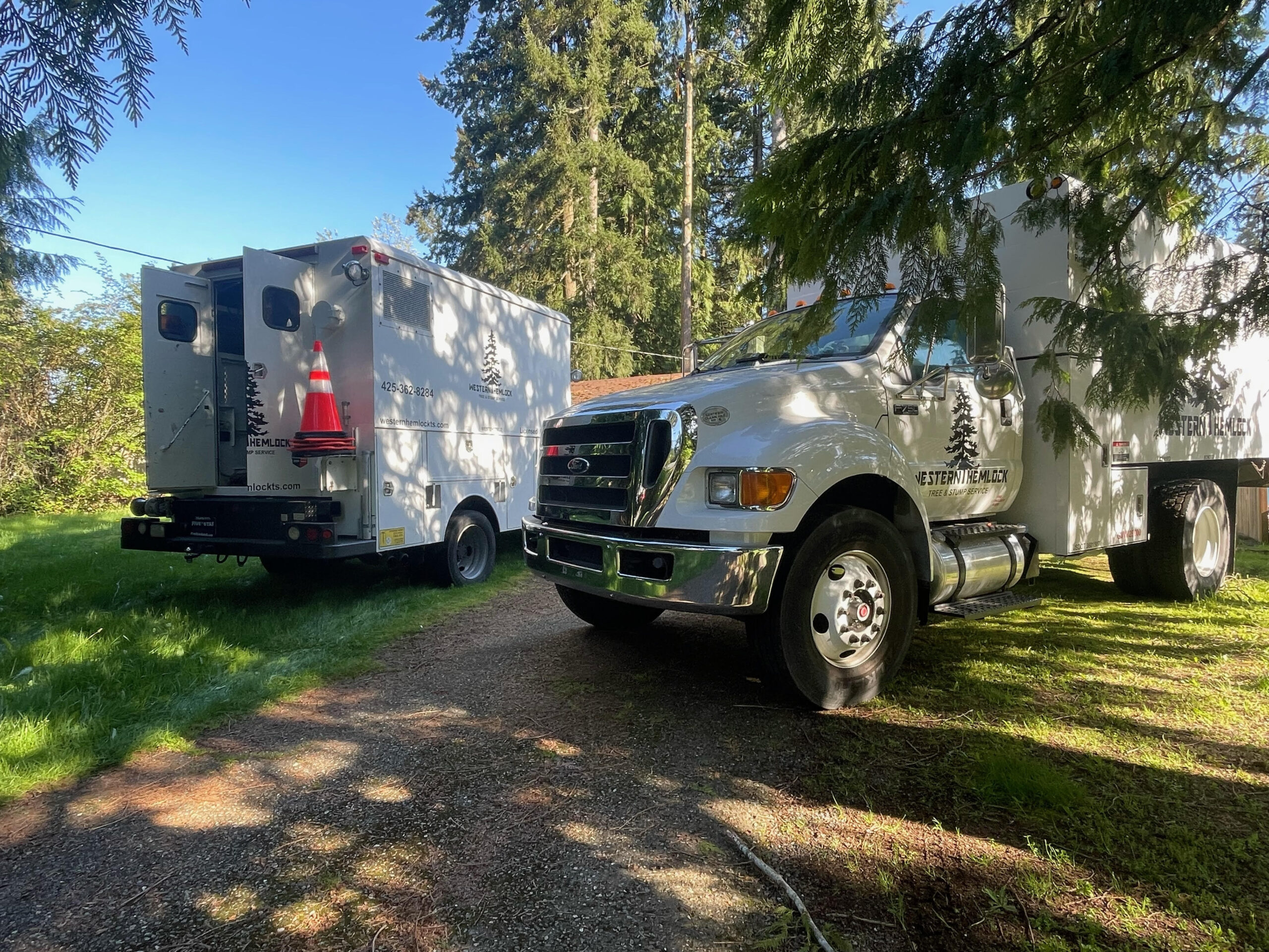 image2 Western Hemlock Tree & Stump Service