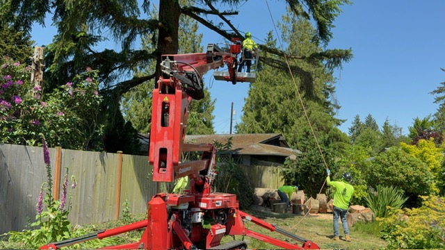 benefit tree pruning