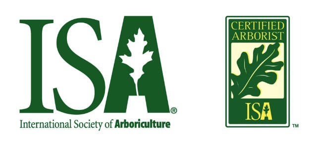 ISA organization logo