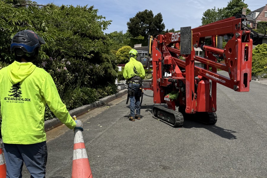 5 Key Benefits of Hiring a Local Tree Service Company
