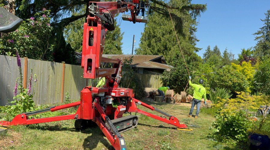 Western Hemlock workers