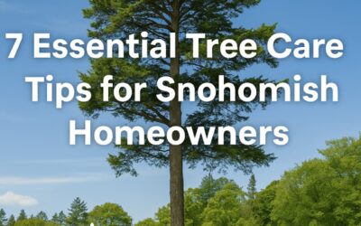 Keeping Snohomish Trees Healthy: 7 Essential Tree Care Tips for Homeowners