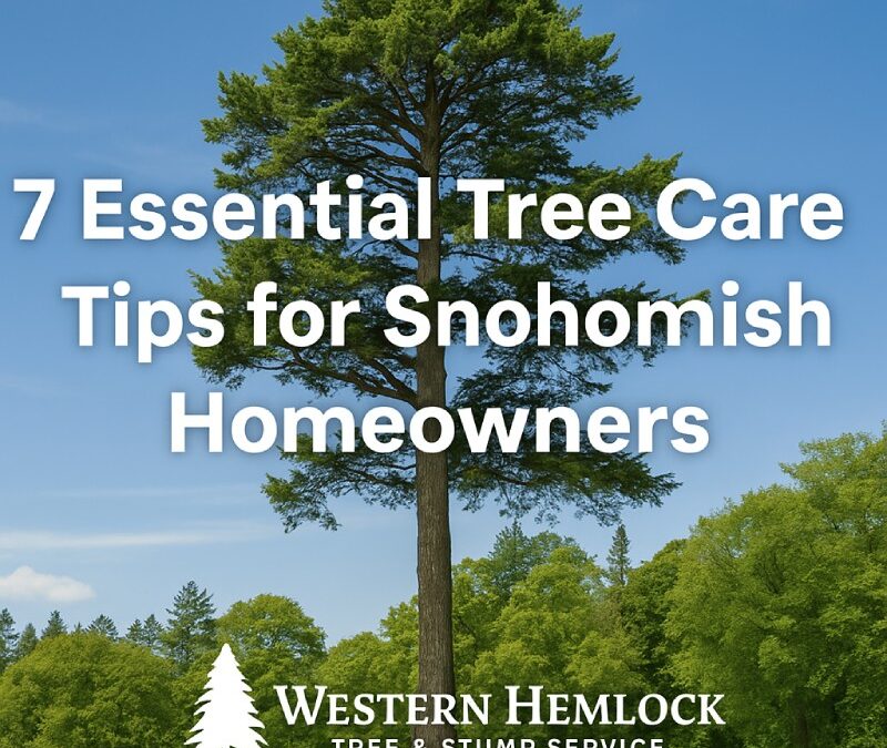 Keeping Snohomish Trees Healthy: 7 Essential Tree Care Tips for Homeowners