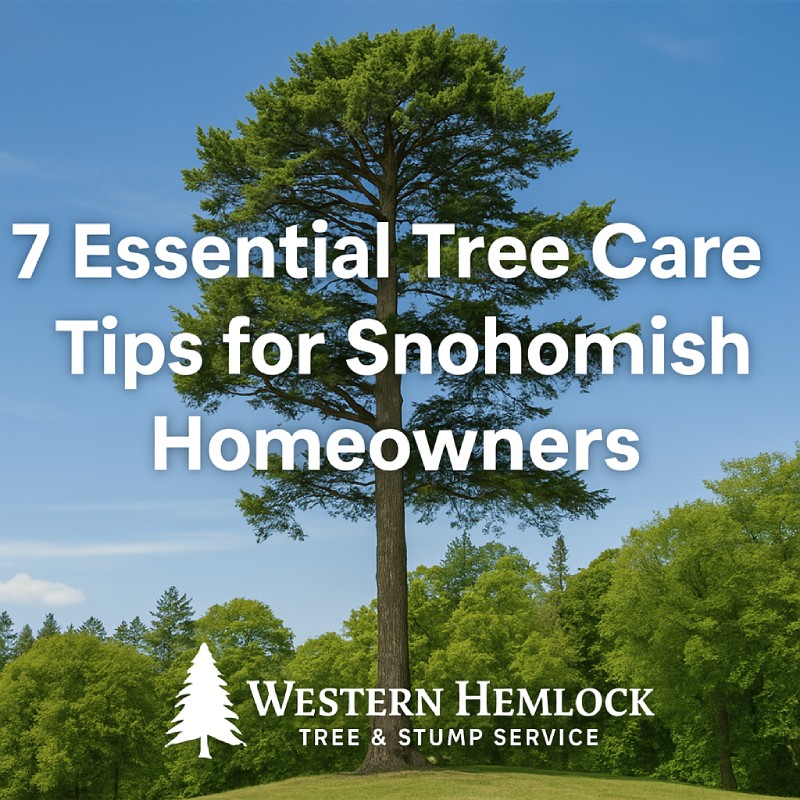 7 essential tree care