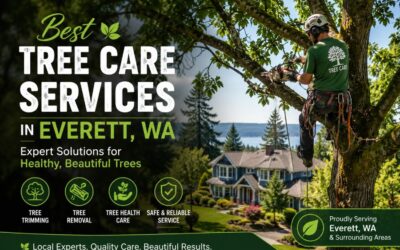 Best Tree Care Services in Everett WA: Expert Solutions for Healthy, Beautiful Trees
