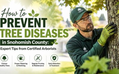 How to Prevent Tree Diseases in Snohomish County: Expert Tips from Certified Arborists