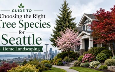 Guide to Choosing the Right Tree Species for Seattle Home Landscaping